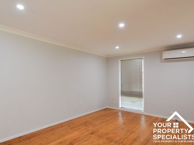 29 McCrae Drive, Camden South