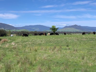 59 Hibberson Road, Tallangatta South