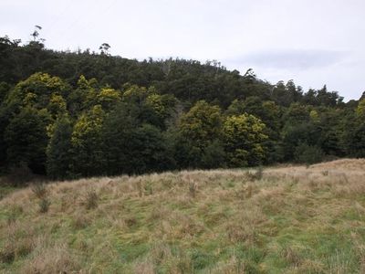 Lot 5 Cairns Road, Surges Bay