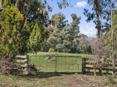 1064 Old Tolmie Road, Barwite