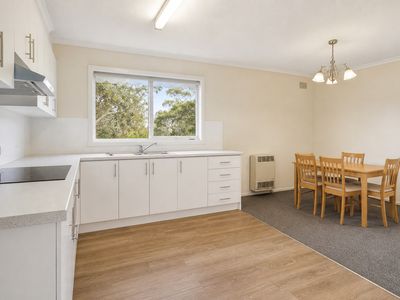 16 Adina Street, Telopea