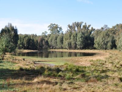 133 Tuppal Road, Tocumwal