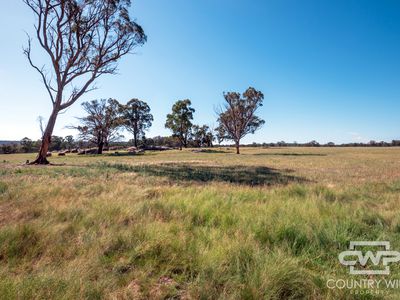 391 Carrot Farm Road, Deepwater