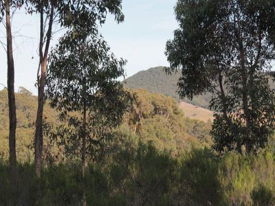 C / A S4 C/A S4 Hall Road, Heathcote