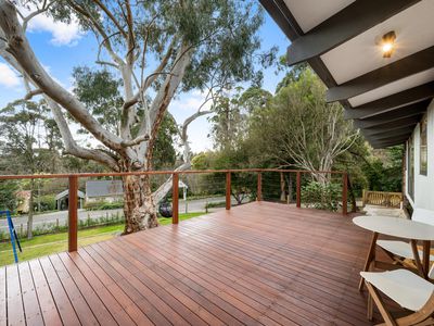 11 Protea Crescent, Crafers