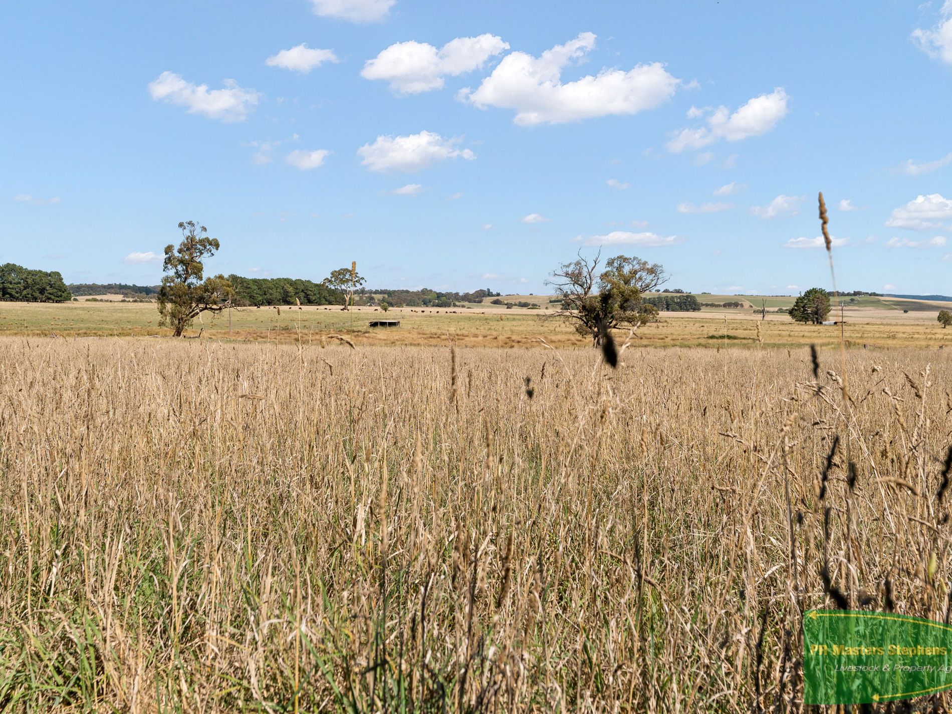 1455 Hobbys Yards Road, Hobbys Yards