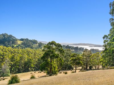 Lot1, Devlyns Road, Birchs Bay