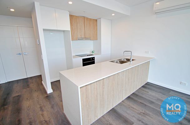 1004 / 11 RAPHAEL STREET, Lidcombe