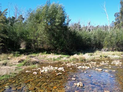 115 Gulph Creek Road, Nerrigundah