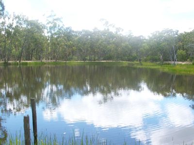 Lot 4 Binghi Road, Silent Grove