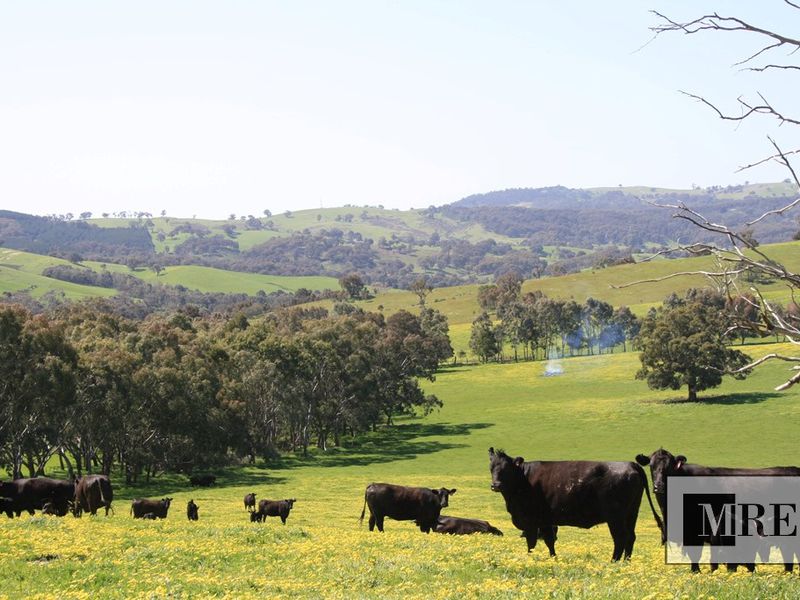 Macklins Road , Merton