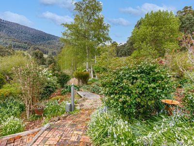 212 Sawyers Creek Road, Mountain River