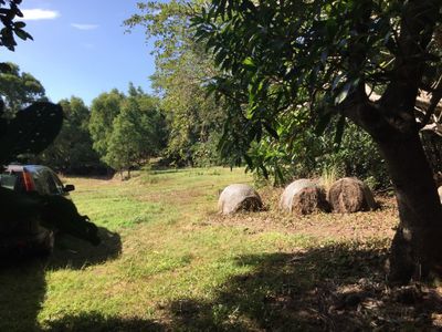 3 Pryde Street, Cooktown