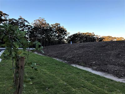 Lot 509 Lot 509 Seaspray Street, Narrawallee