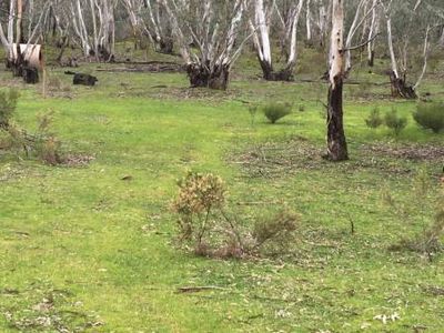 2694 Heathcote-Nagambie Road, Heathcote