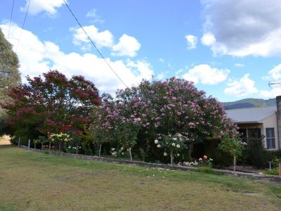 24 Fairway Avenue , Mount Beauty
