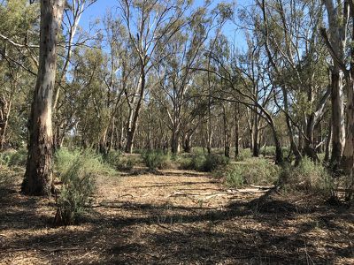 14 / Edward River Road, Moulamein
