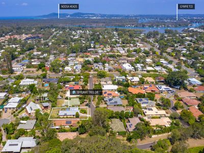 10 Flame Tree Drive, Tewantin