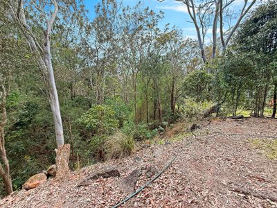 19 ZINGELMANN ROAD, Wondecla
