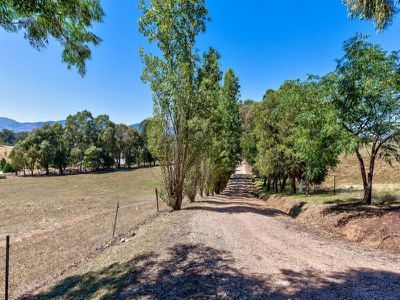 53 Tarrant Lane, Yackandandah