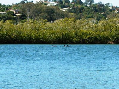 22 Sunset Boulevard, Tweed Heads West