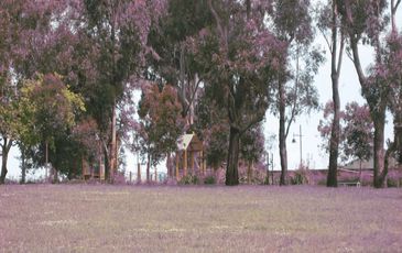12 Flemington Rise, Officer