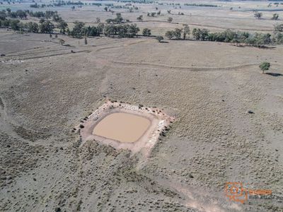 114L 114L Mogriguy Road, Mogriguy