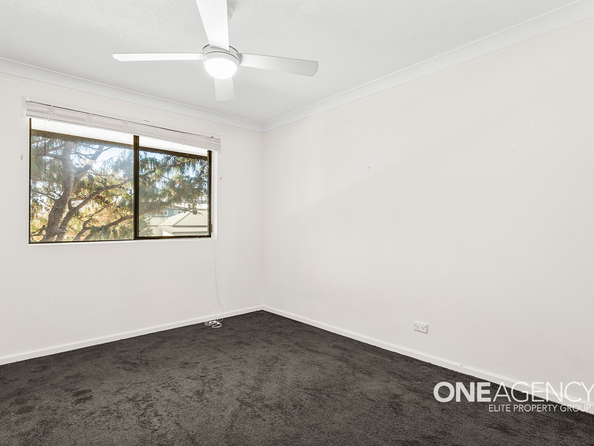 3 / 2C King Street, Lake Illawarra