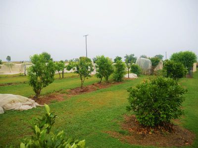 154 Ironpot Road, Kumbia