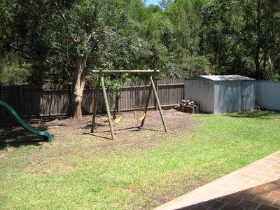 Blackbutt