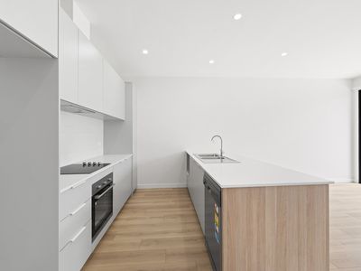 29 Dobright street, Truganina