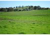 346 Avoca Road, Stuart Town