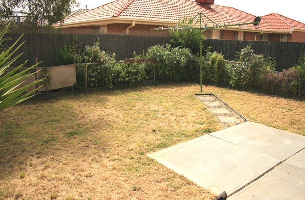 19 Donvale Ave, Roxburgh Park