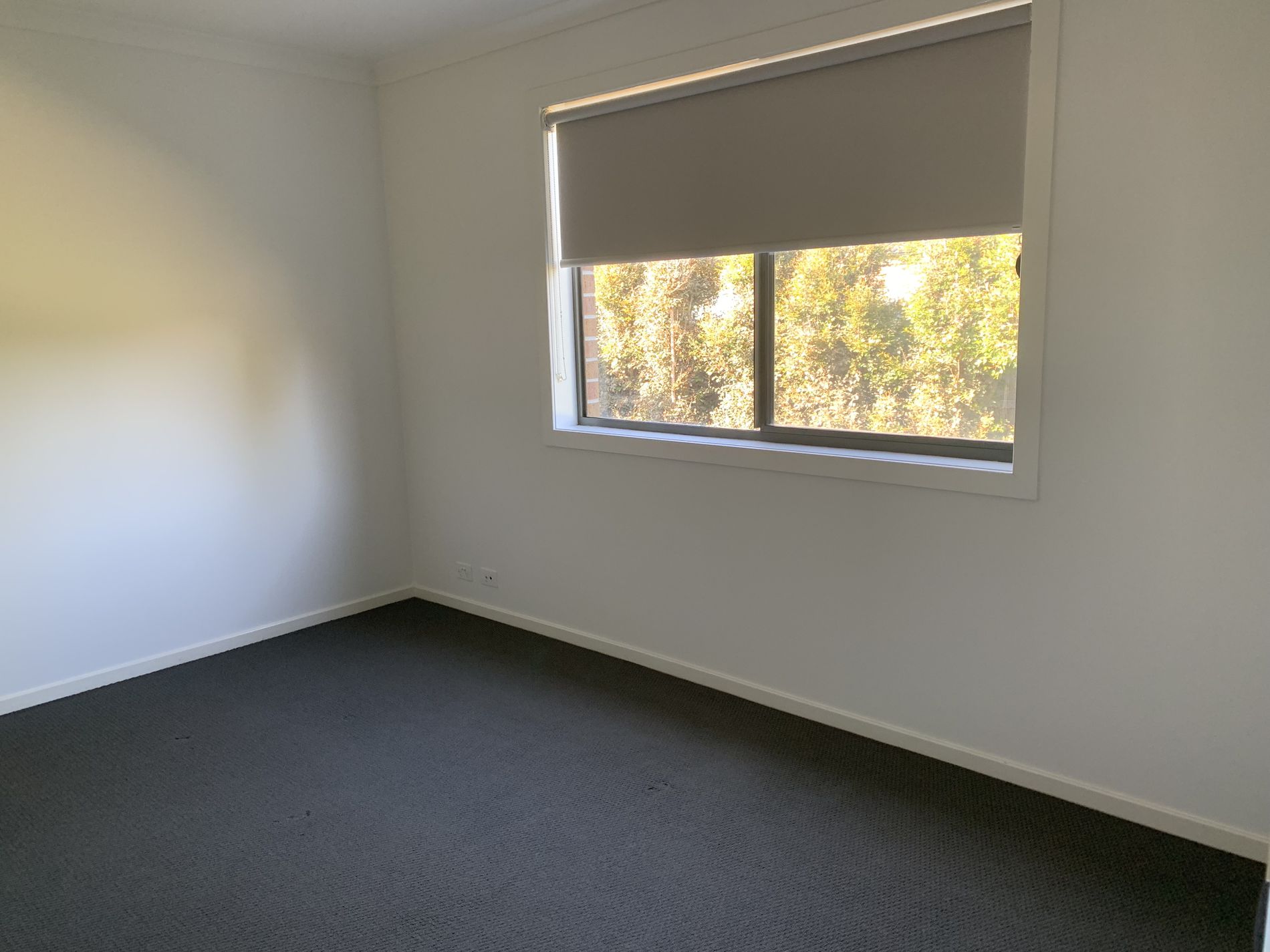 20 Golden Wattle Drive, Mount Duneed