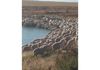 Lot 566 Coolgardie Esperance Highway, Salmon Gums