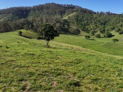 5887 Oxley Highway, Ellenborough