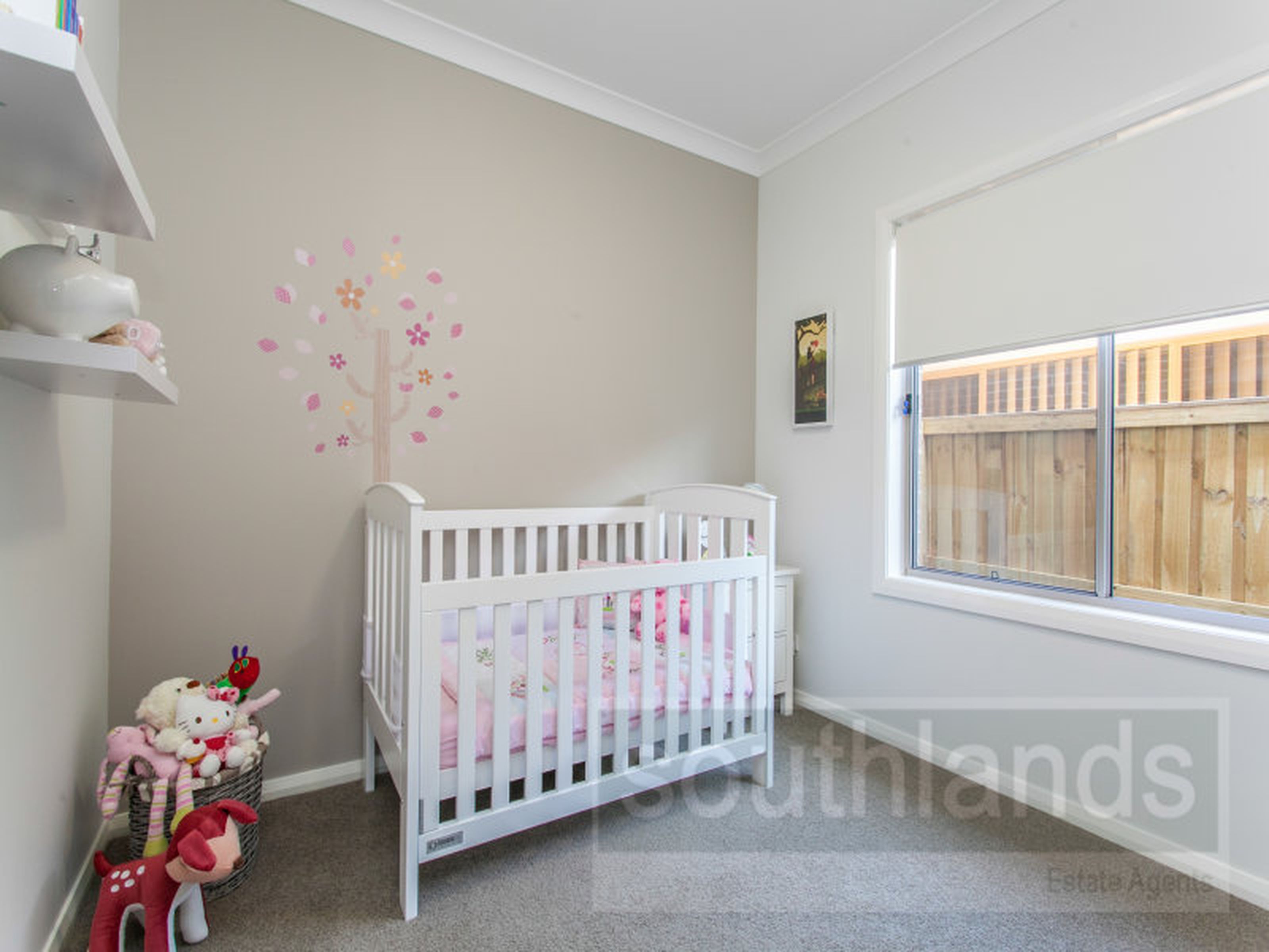 25 Lapwing Way, CRANEBROOK