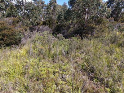 152 Esperance Coast Road, Surges Bay