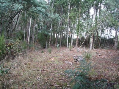 Lot 4 Holmes Road, Ellendale