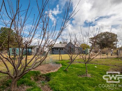 5368 Strathbogie Road, Emmaville