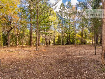 124 Gungas Road, Nimbin