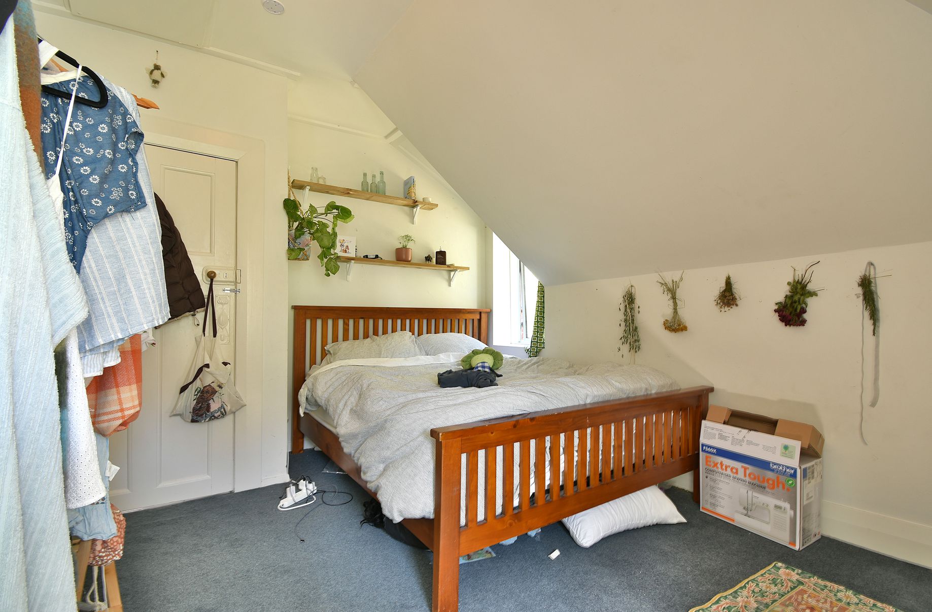 26 Norfolk Street, Saint Clair