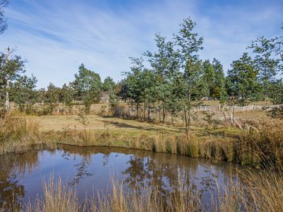 Lot 3, Andrewartha Road, Raminea