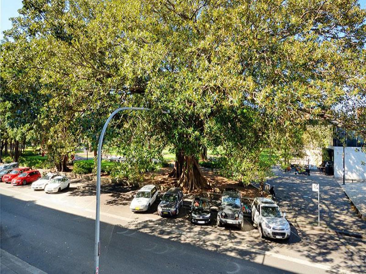 56 / 253 Chalmers St, Redfern