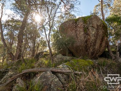 1457 Morven Road, Glen Innes