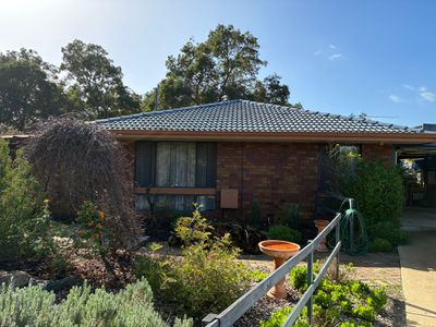 13 Mimosa Court, Kelmscott