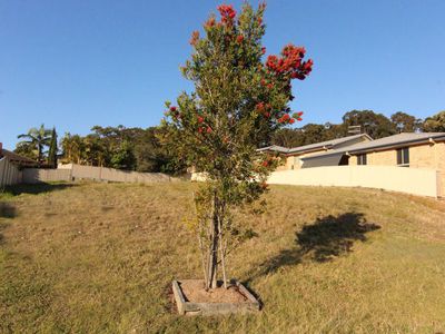 3 Caryota Place, Forster