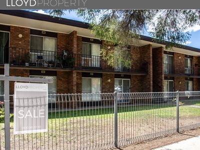 3 / 399 GEORGE STREET, Deniliquin