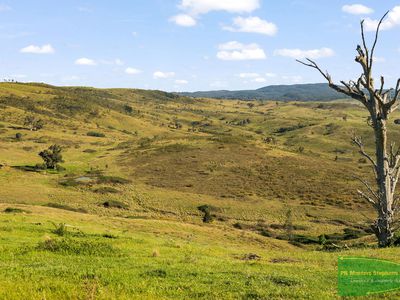 351 Shepherds Creek Road, Euchareena