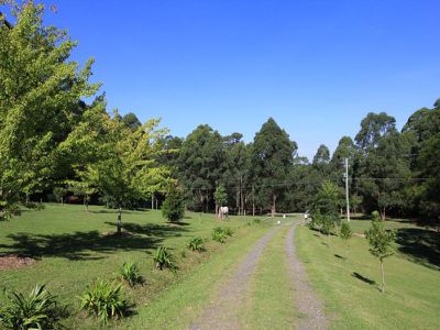 468 Bugong Fire Trail, Kangaroo Valley